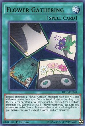 Flower Gathering [DRL3-EN040] Ultra Rare