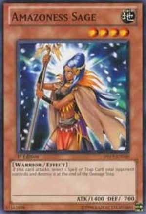 Amazoness Sage [DREV-EN030] Common