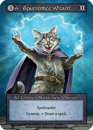 Apurrentice Wizard  - Welcome Kit Promos