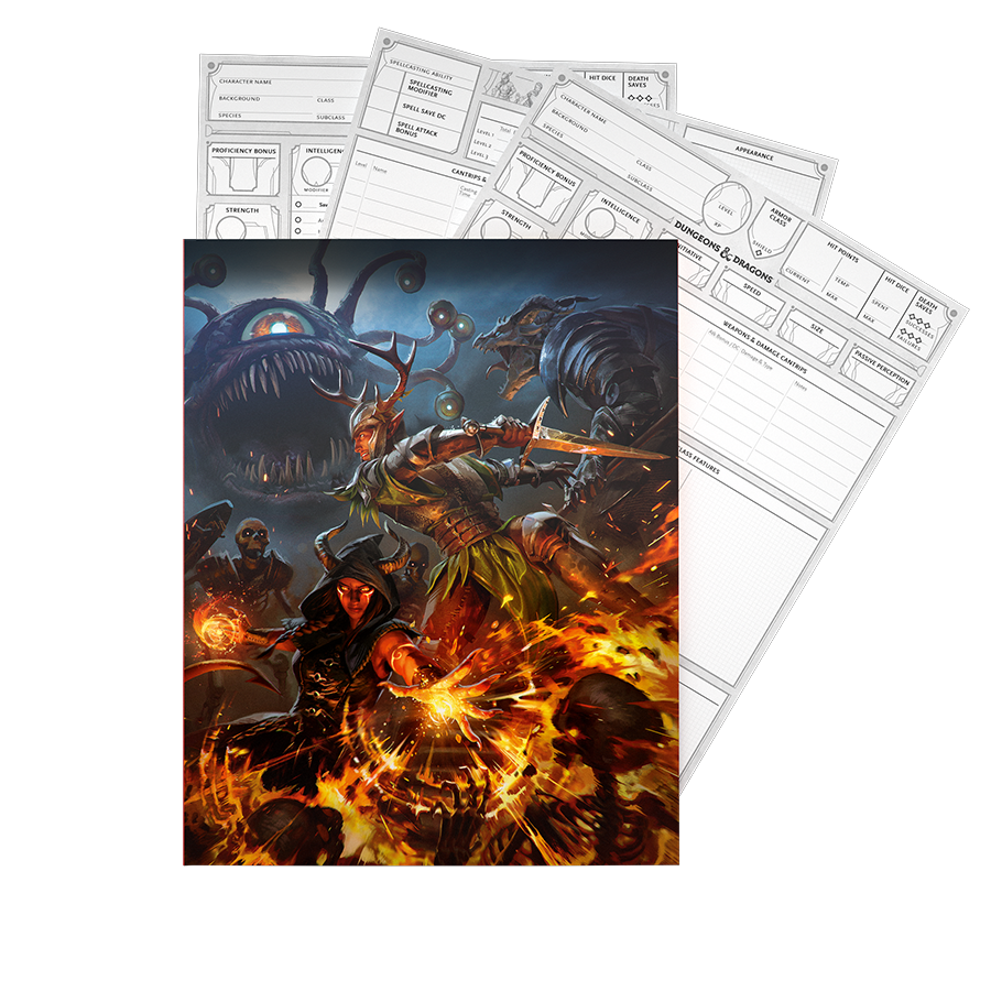 Dungeons & Dragons - RPG 2024 Character Sheets (PRE ORDER)